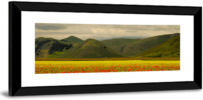 Castelluccio Wildflower Meadow Wall Art as a framed print