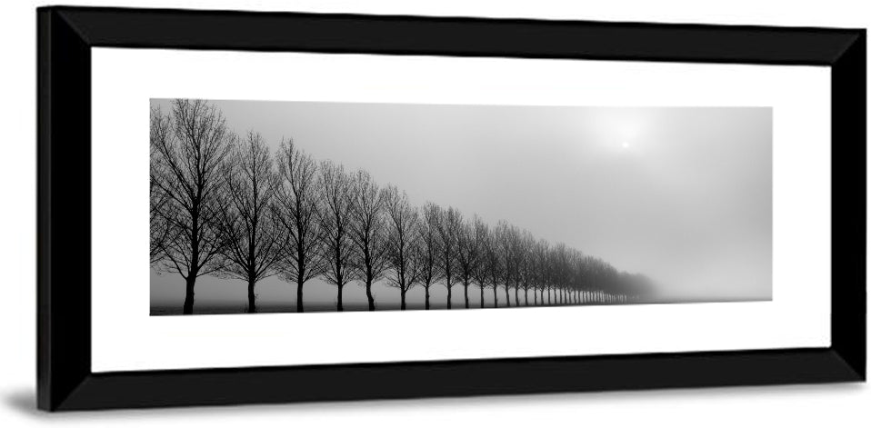 Misty Row of Bare Trees Wall Art