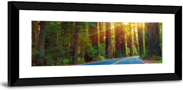 Sunlit Redwood Highway Wall Art as a framed print