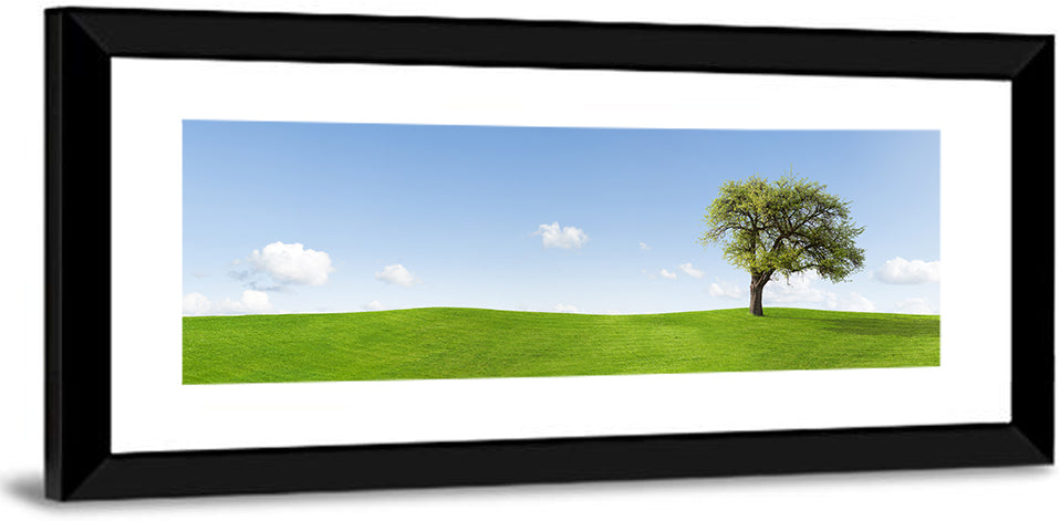 Lone Tree on Green Hill Wall Art