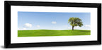 Lone Tree on Green Hill Wall Art