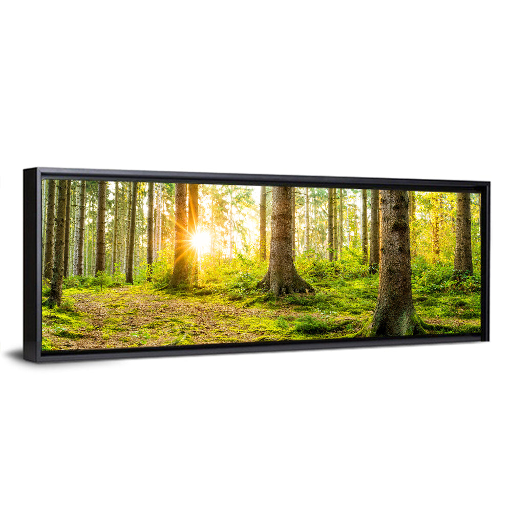 Sunburst Over Mossy Forest Wall Art