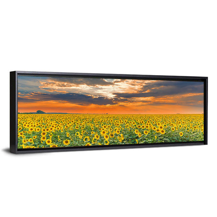 Golden Hour Sunflower Field Wall Art as a framed canvas