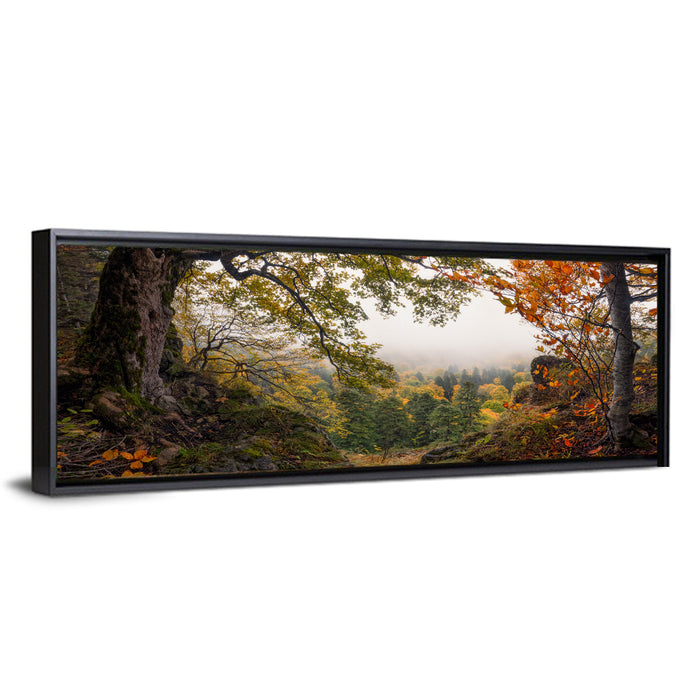 Enchanted Forest Valley Wall Art as a framed canvas