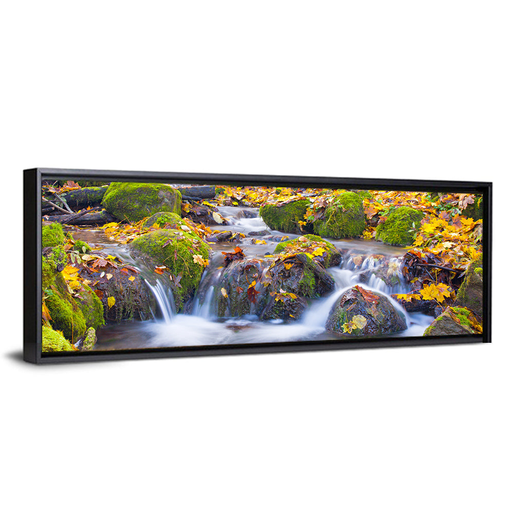 Mossy Autumn Stream Wall Art
