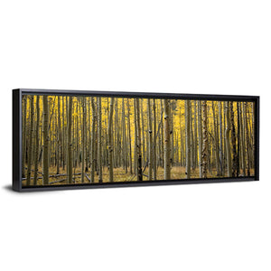 Colorado Aspen Forest Wall Art