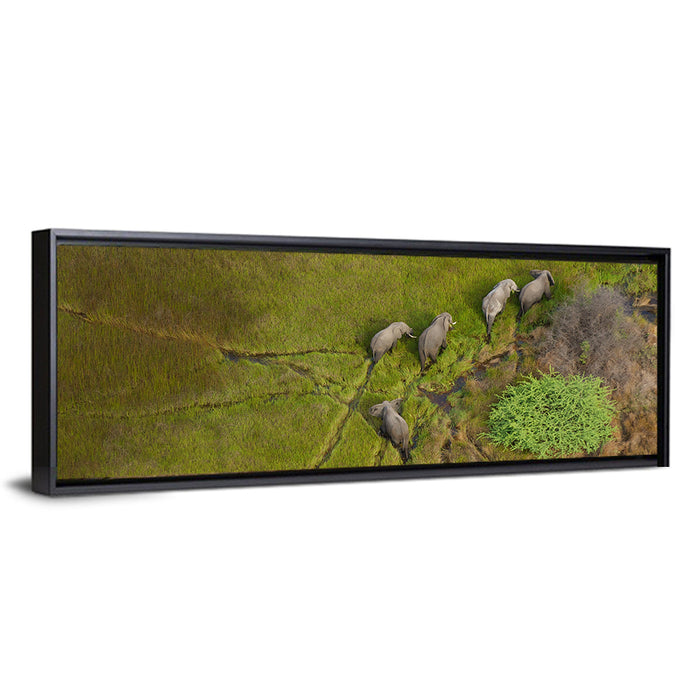 Aerial Herd of Elephants Wall Art as a framed canvas