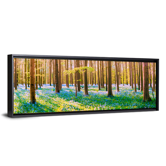 Hallerbos Bluebell Forest Wall Art as a framed canvas