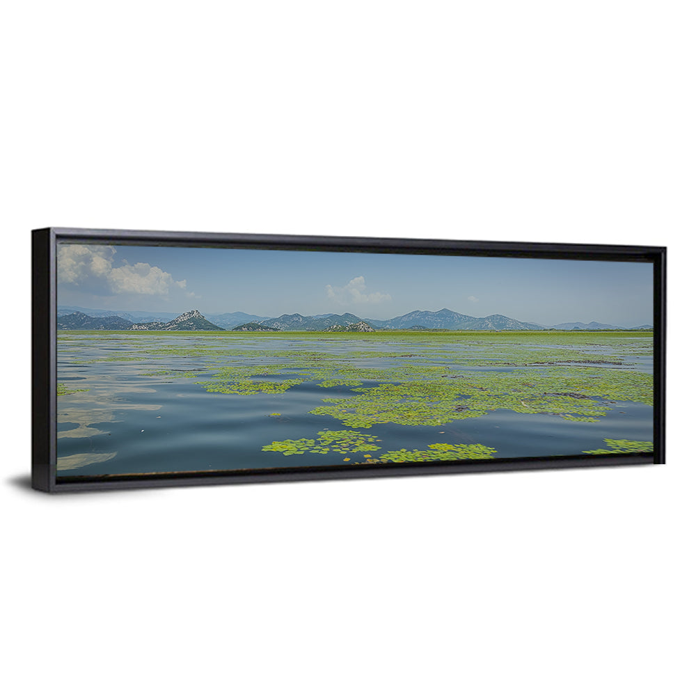 Lake Skadar Water Lilies Wall Art