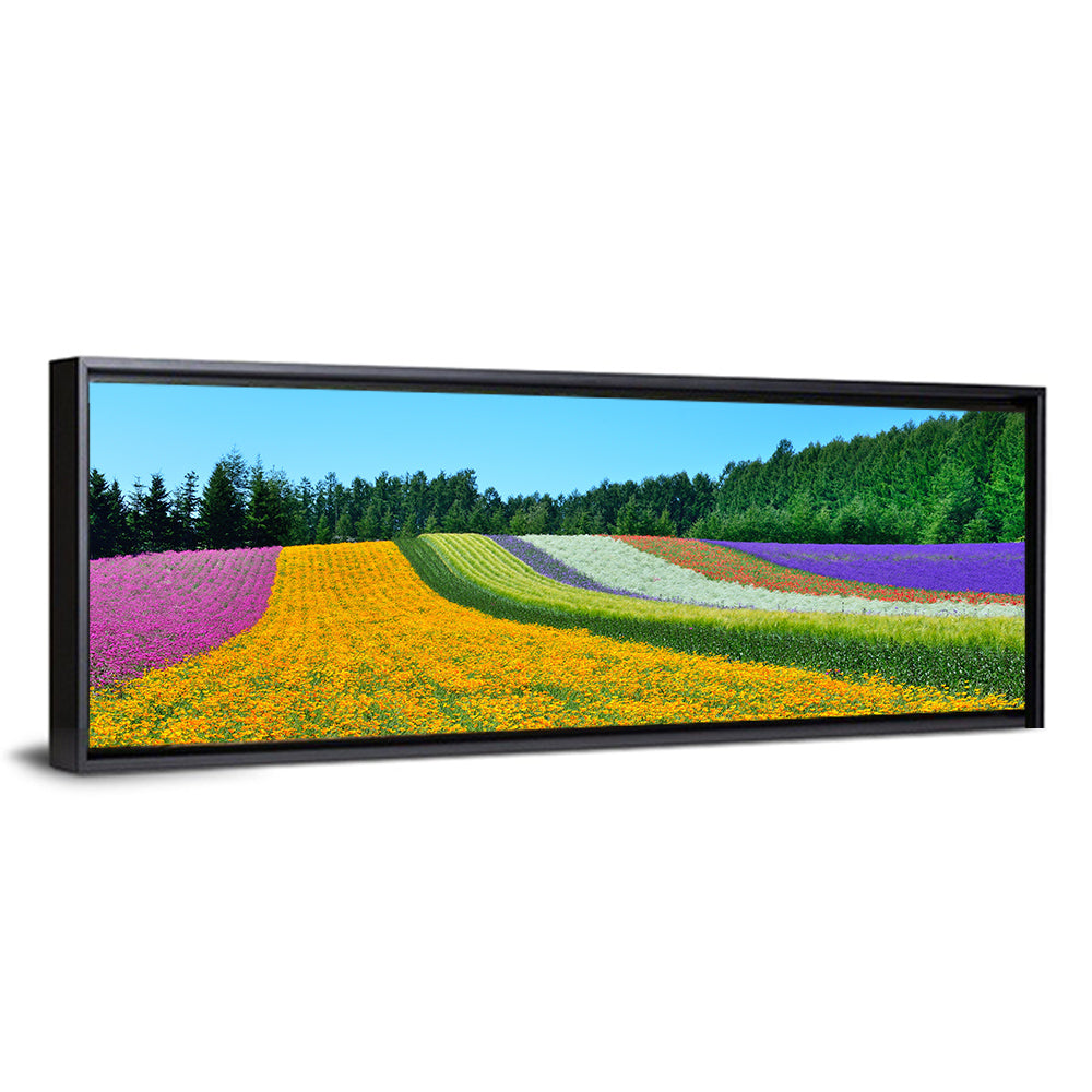 Tomita Flower Fields, Nakafurano Wall Art