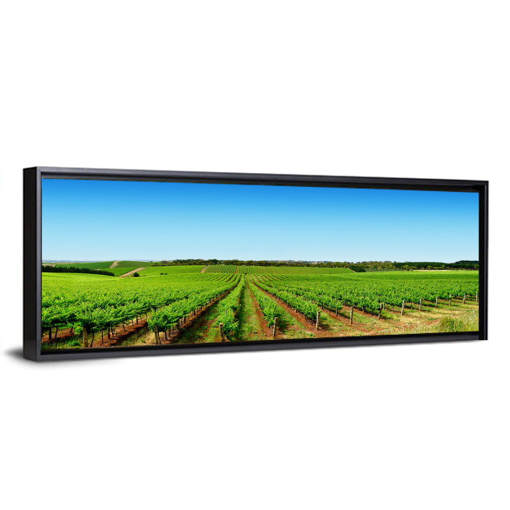 Vineyard Landscape Wall Art