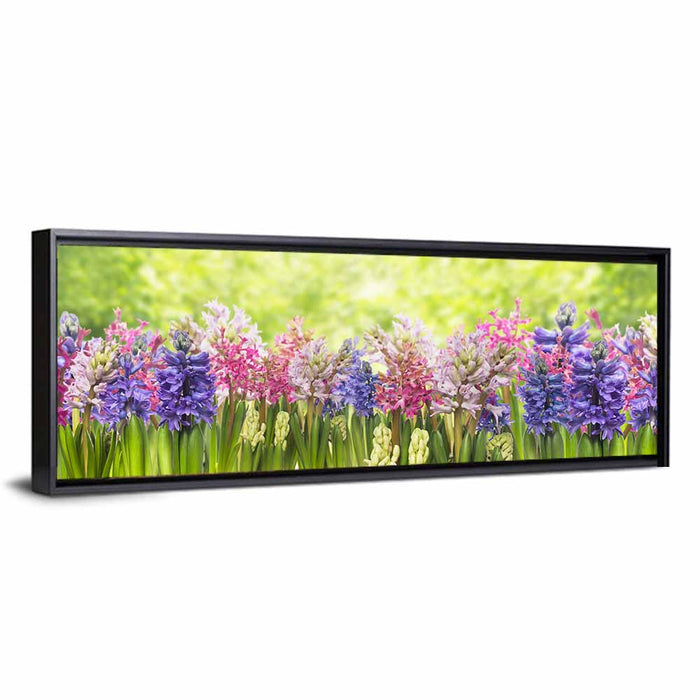 Hyacinth Cluster in Bloom Wall Art as a framed canvas