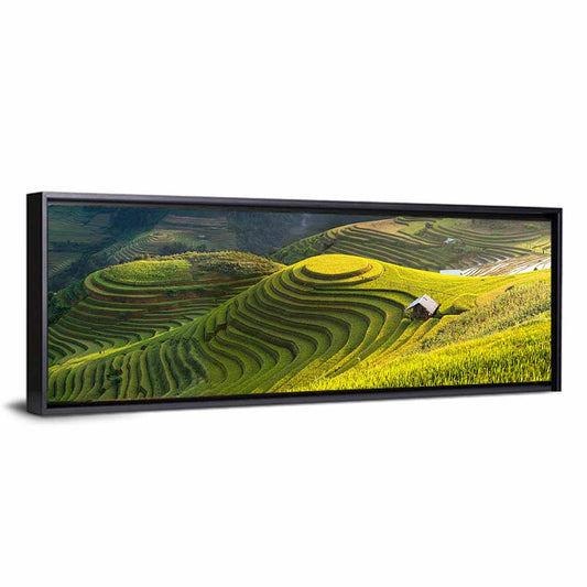 Mu Cang Chai Rice Fields Wall Art