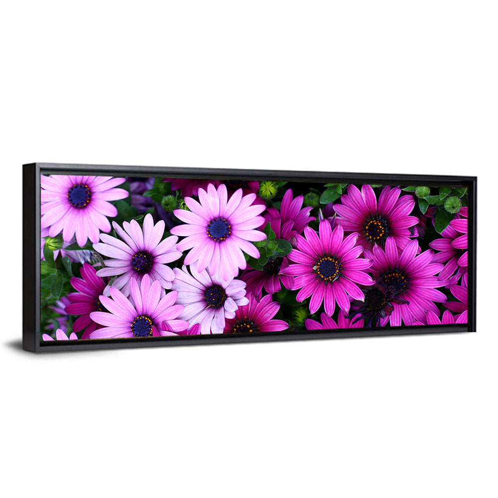 Pink and Purple Daisies Wall Art in a room, panoramic