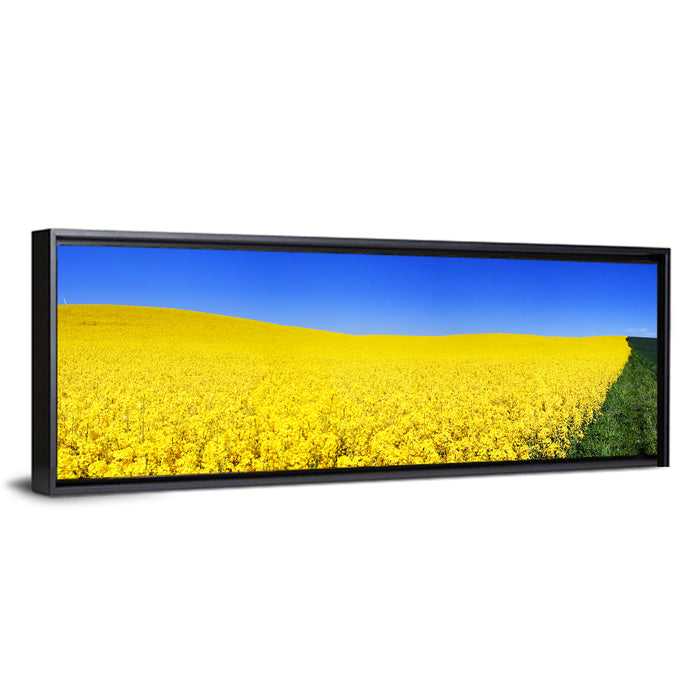 Sunlit Rapeseed Field Wall Art as a framed canvas