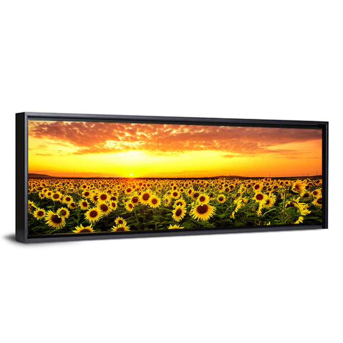 Golden Hour Sunflower Field Wall Art as a framed canvas