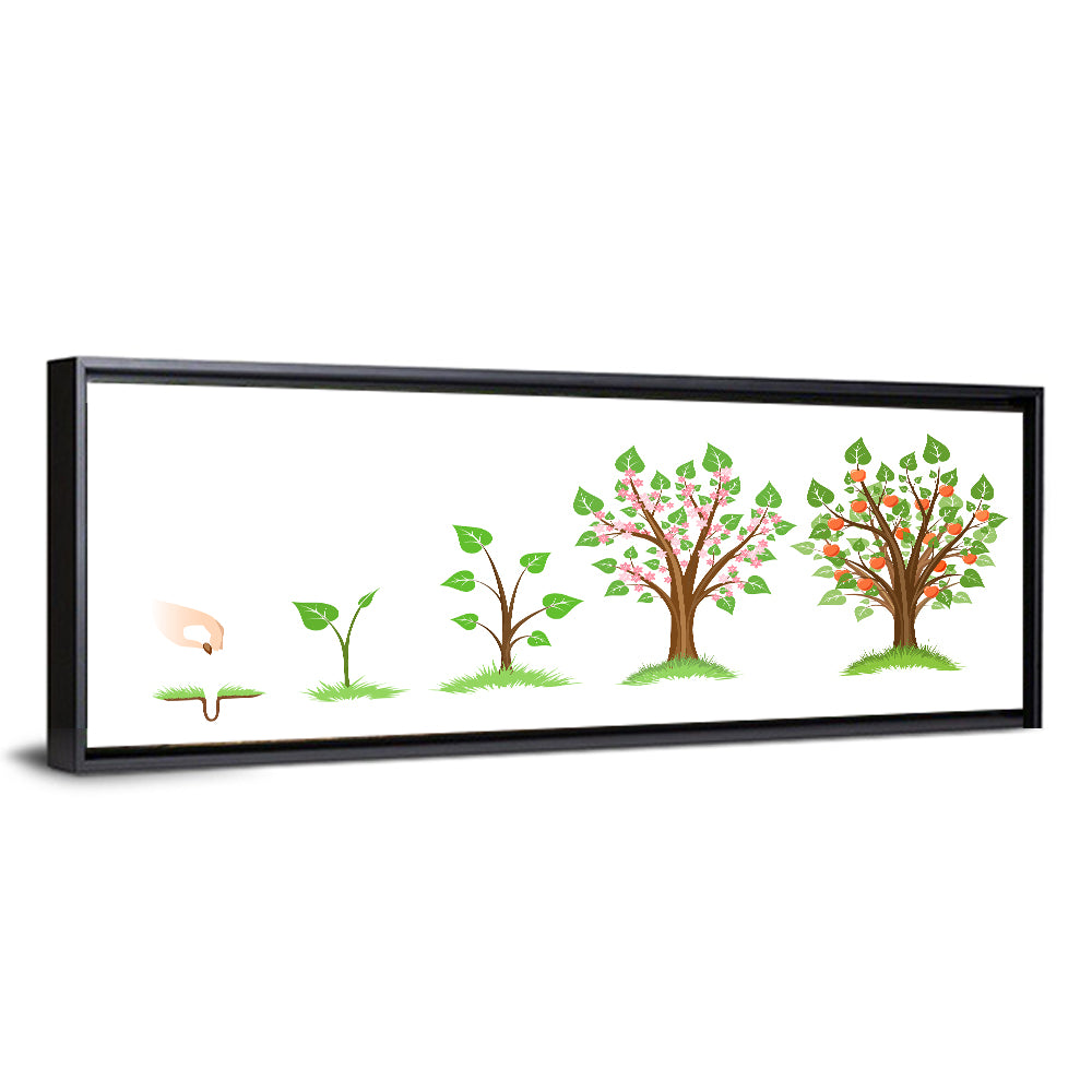 Apple Tree Life Cycle Wall Art