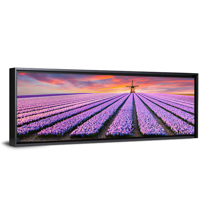 Hyacinth Field at Sunset Wall Art as a framed canvas