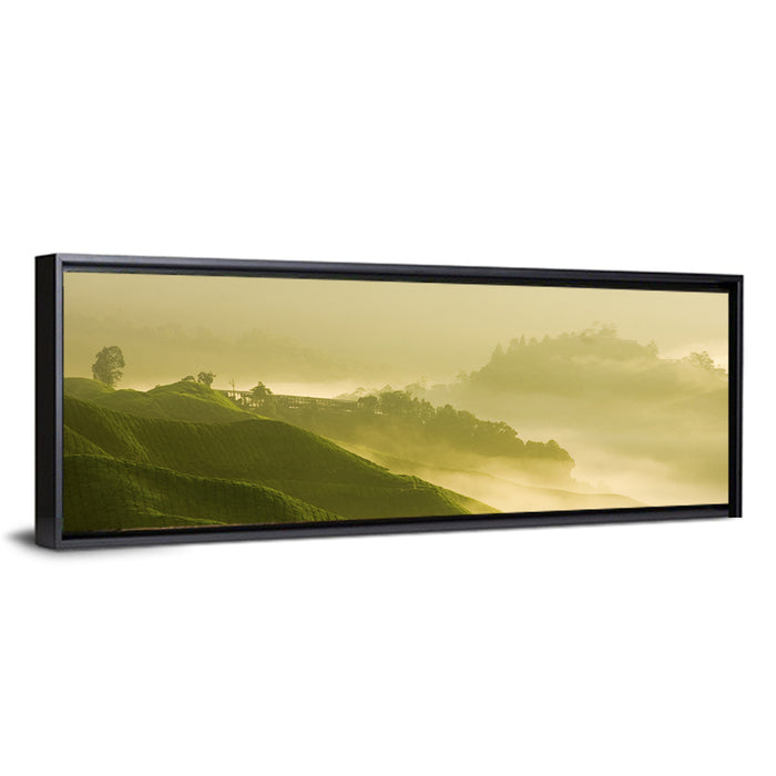 Tea Plantation Morning Mist Wall Art as a framed canvas