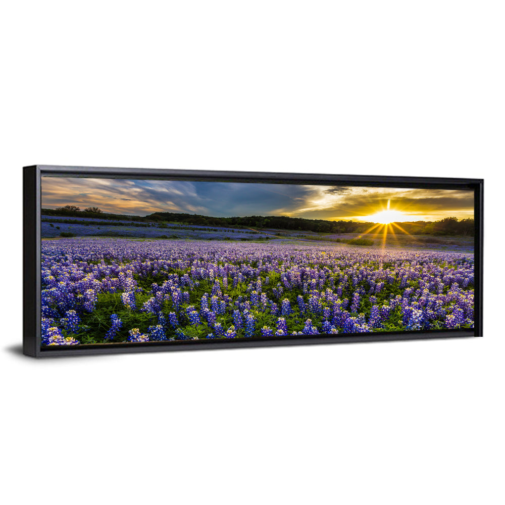 Texas Bluebonnet Field at Sunset Wall Art