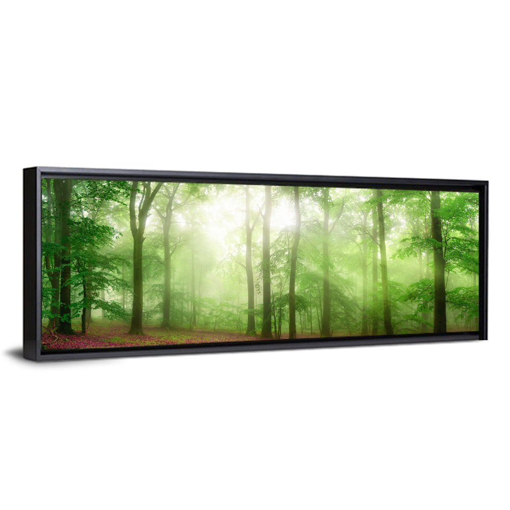 Sunlit Misty Forest Wall Art