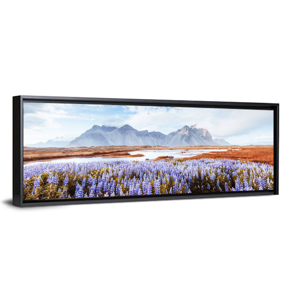 Lupine Fields at Vestrahorn Wall Art