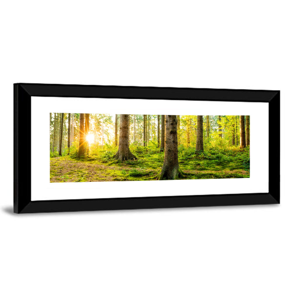 Sunburst Over Mossy Forest Wall Art