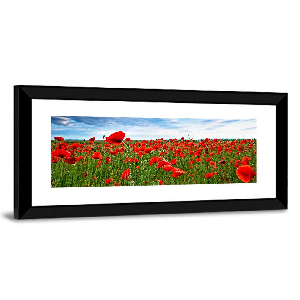 Red Poppy Field Wall Art, framed print, panoramic