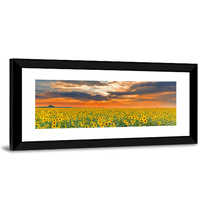 Golden Hour Sunflower Field Wall Art as a framed print