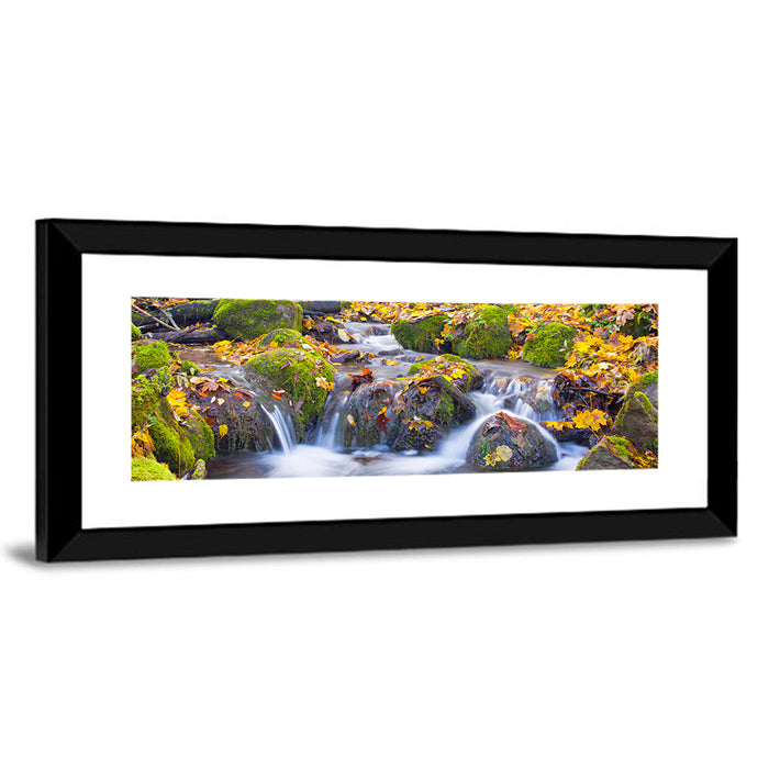 Mossy Autumn Stream Wall Art as a framed print