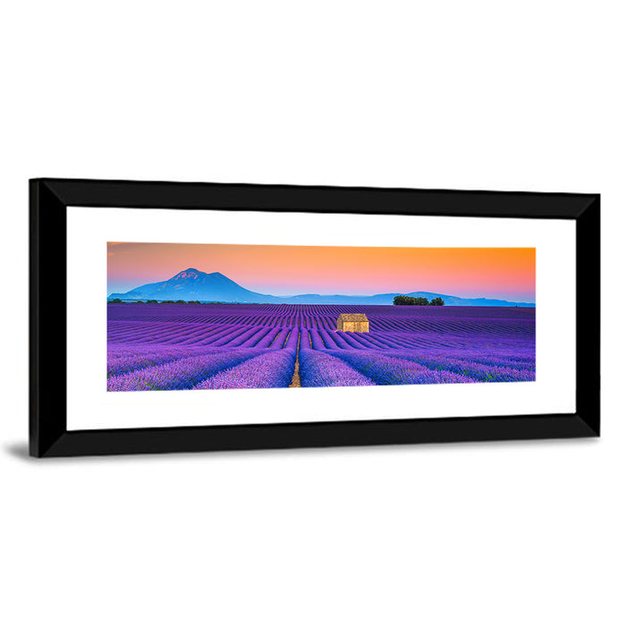 Valensole Lavender Fields at Sunset Wall Art as a framed print