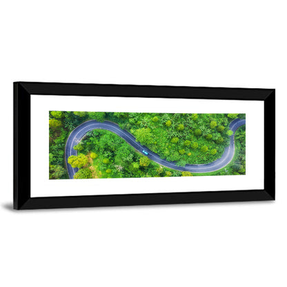 Summer Forest Road Wall Art