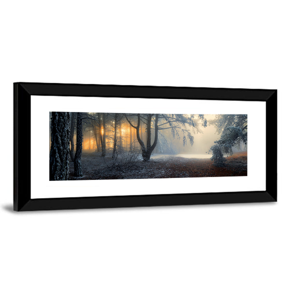 Frosted Forest Morning Light Wall Art