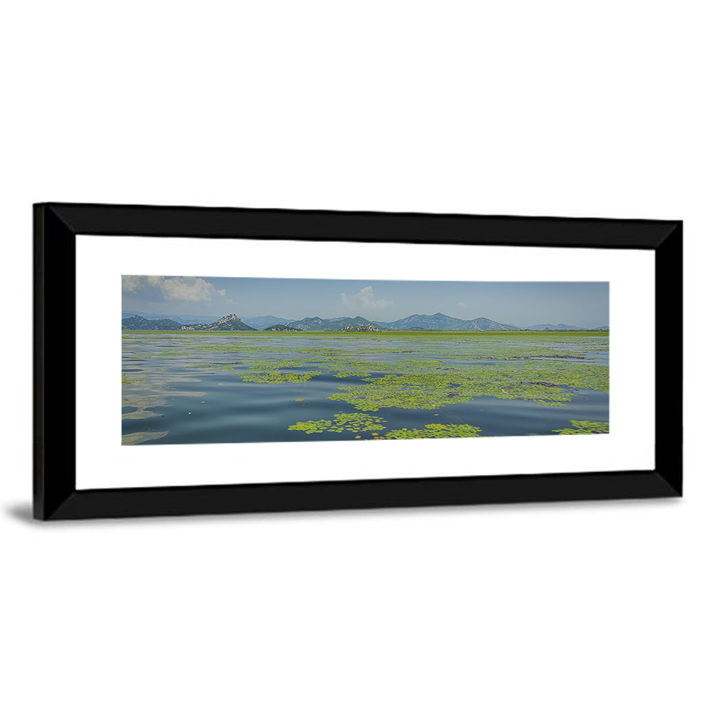 Lake Skadar Water Lilies Wall Art