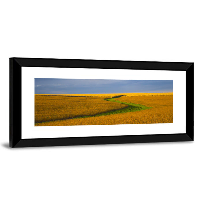 Golden Hour Soybean Field Wall Art as a framed print