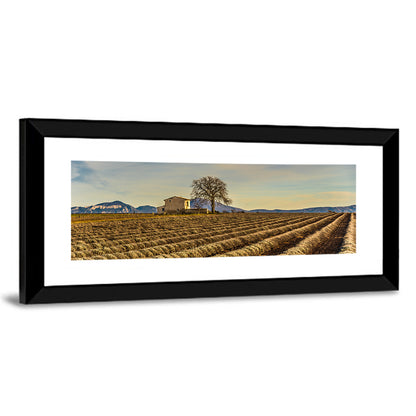 Provence Lavender Wall Art