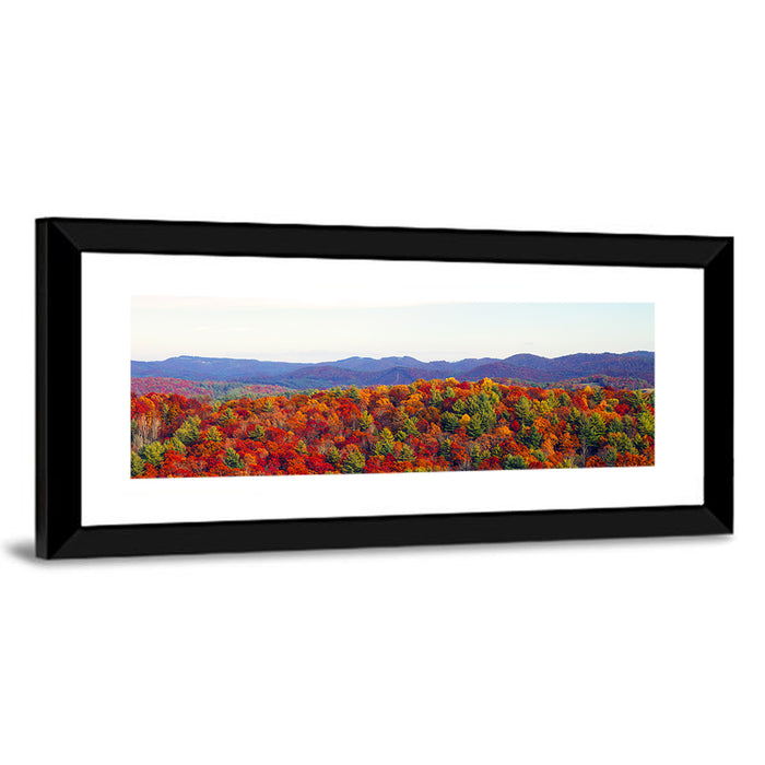 Autumn in the Appalachian Forest Wall Art as a framed print