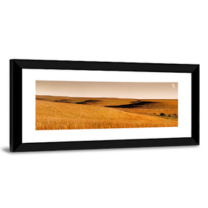 Kansas Rolling Hills Wall Art