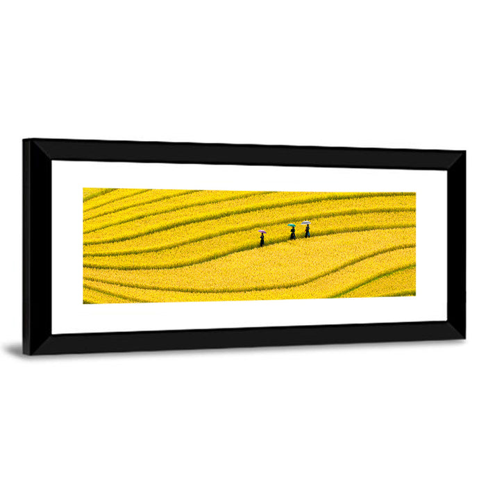 Golden Rice Terraces with Umbrellas Wall Art as a framed print