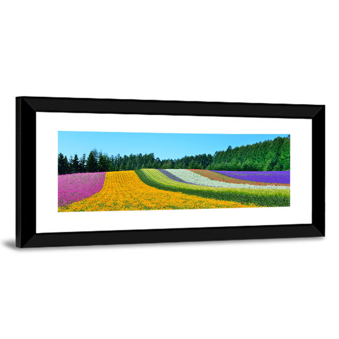 Tomita Flower Fields, Nakafurano Wall Art as a framed print