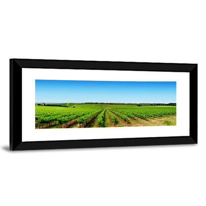 Vineyard Landscape Wall Art