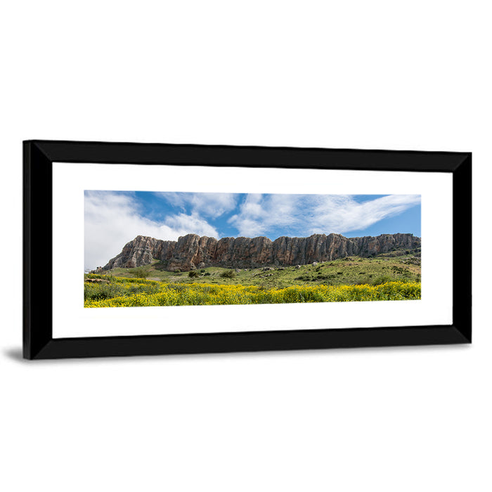 Mount Arbel Wildflower Meadow Wall Art as a framed print