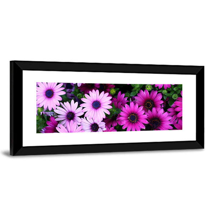 Pink and Purple Daisies Wall Art as a framed canvas