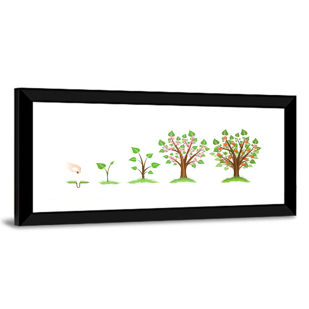 Apple Tree Life Cycle Wall Art