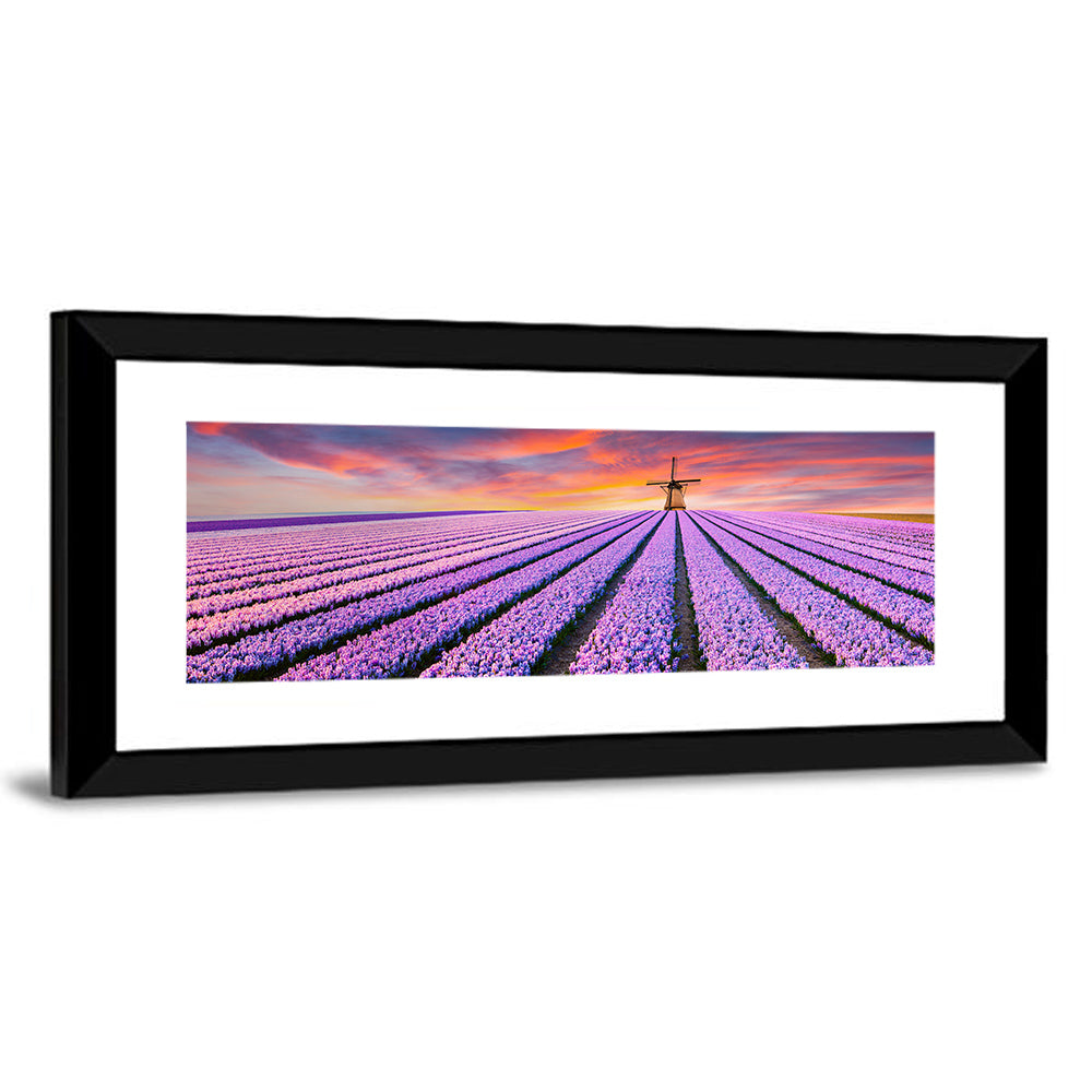 Hyacinth Field at Sunset Wall Art