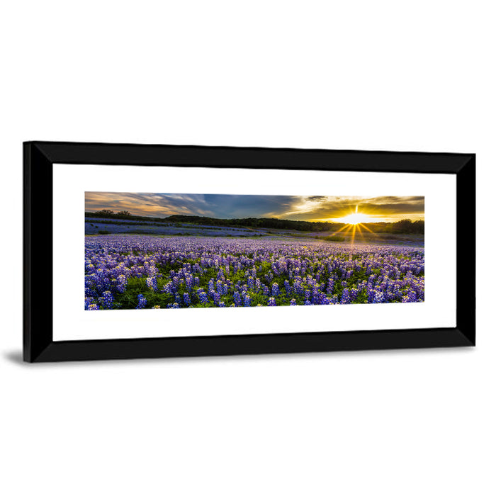 Texas Bluebonnet Field at Sunset Wall Art as a framed print