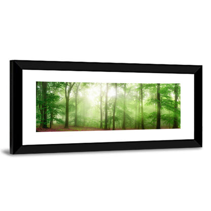 Foggy Forest Wall Art