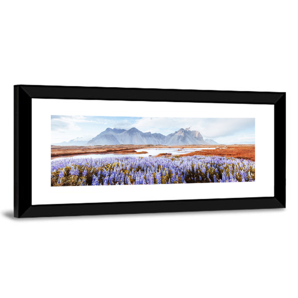 Lupine Fields at Vestrahorn Wall Art