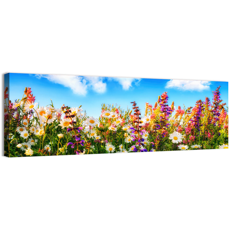 Spring Meadow Wildflowers Wall Art, canvas print, panoramic