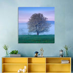 Misty Sumava Mountain Tree Wall Art